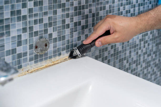 Best Mold Damage Repair  in Blountsville, AL